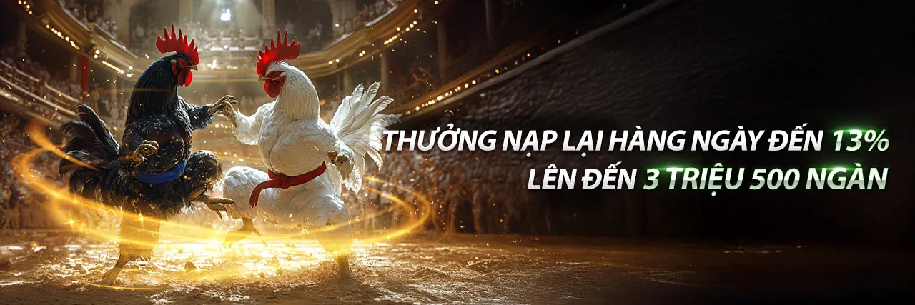 Banner chính thức Manclub 2026